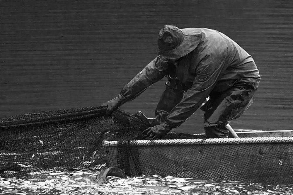 Photograph by SAID SERBOUTI