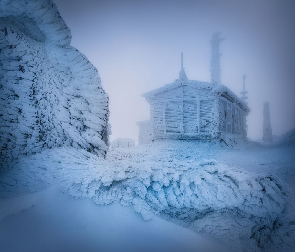 Frozen Kingdom