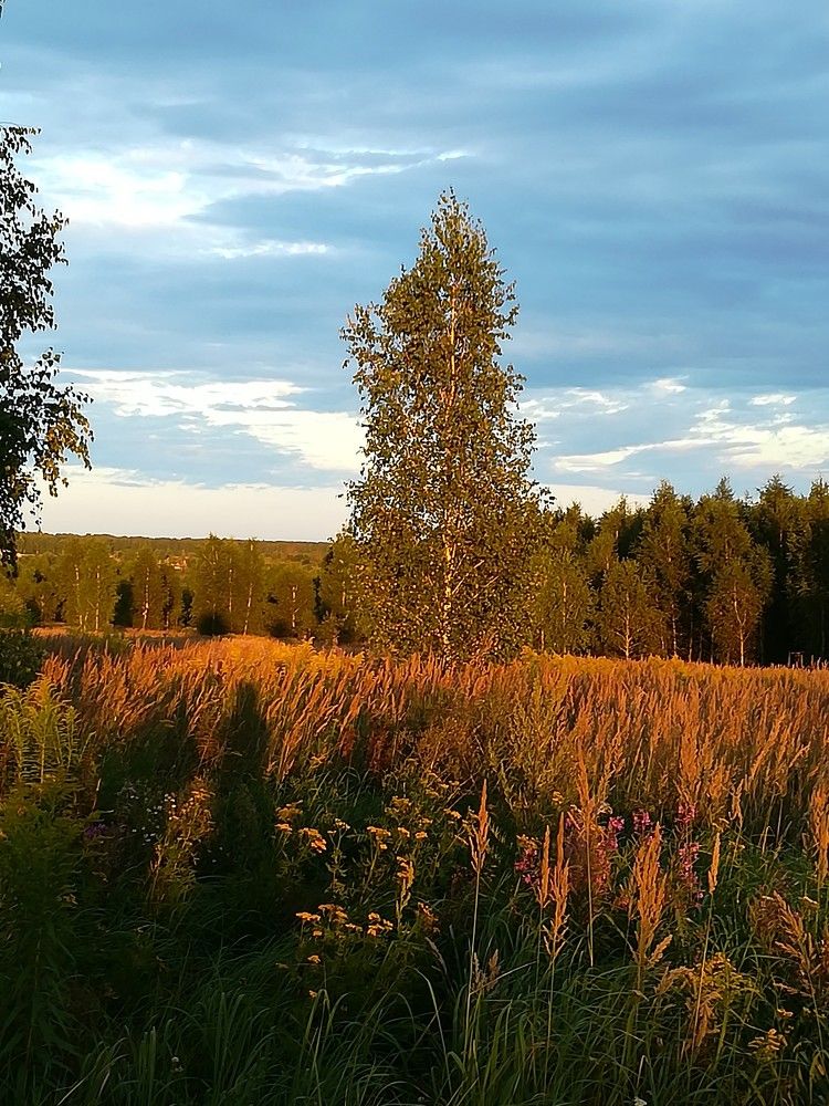 Photograph by людмила