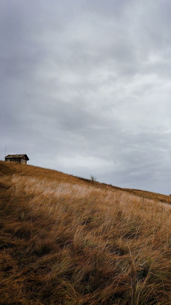 Photograph by Тимур Алтынгужин