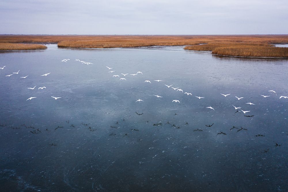 Photograph by Андрей Пугач