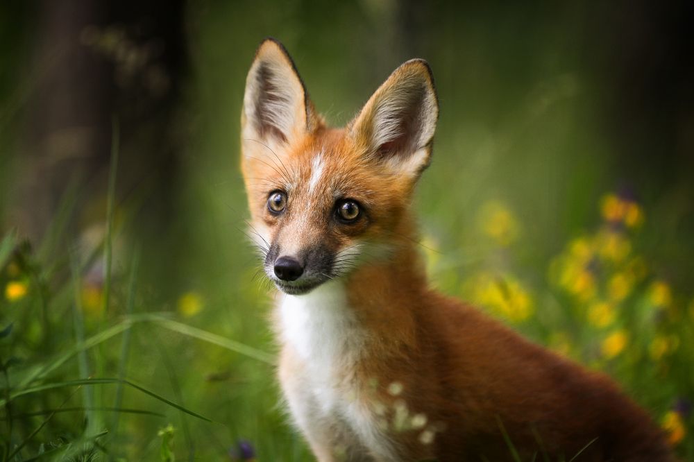 Photograph by Андрей Ершов