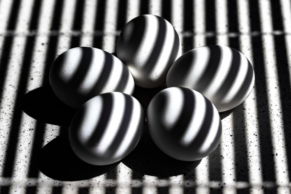 Photograph by Tamar Riabukha