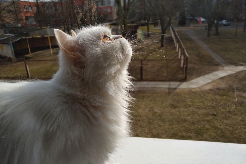 warm spring has come