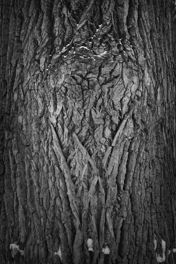 Лесной дух.