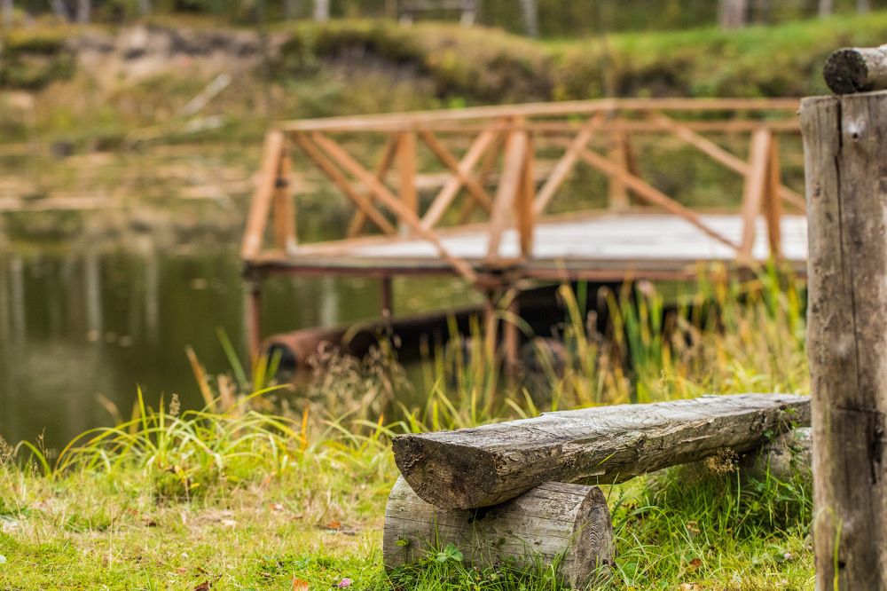 Photograph by Елена Ковалева