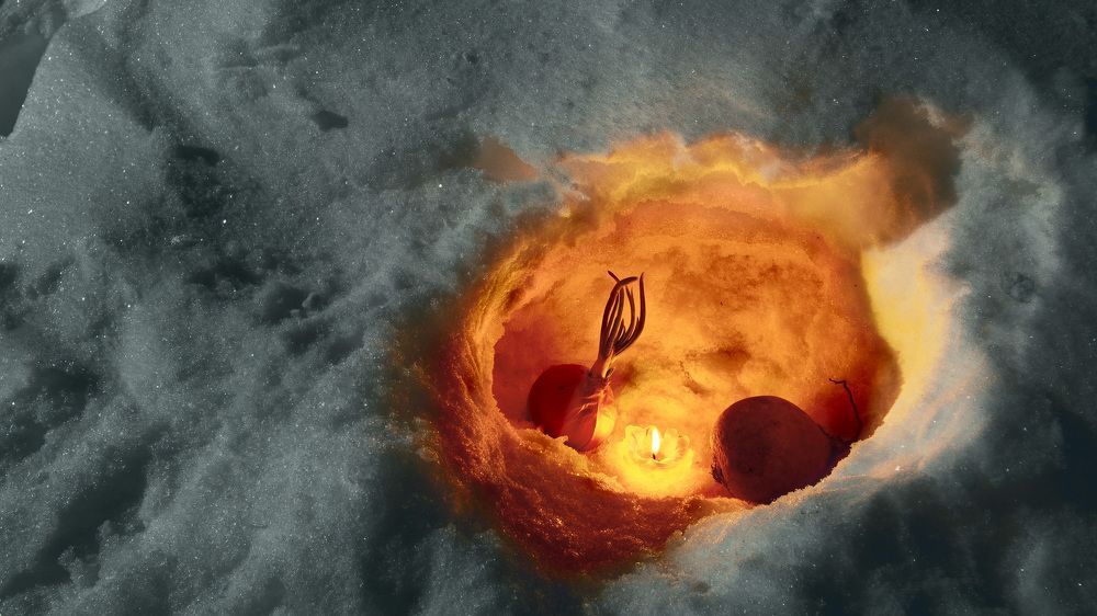 Странники в ночи