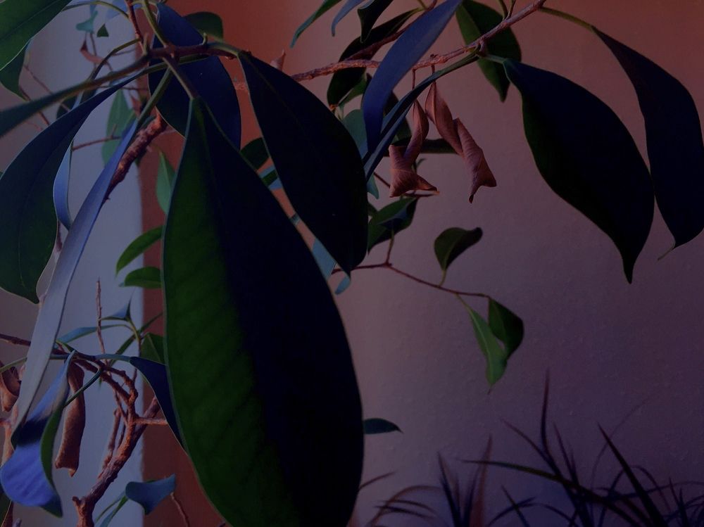 Photograph by Станислав Ситников