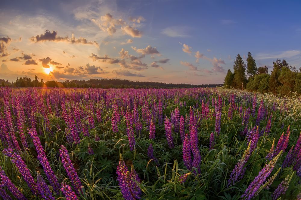 Photograph by Марина Мурашова