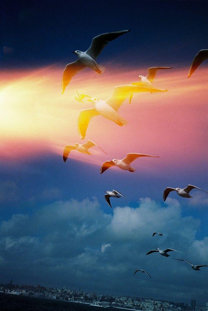 Photograph by Andrey Plekhanov