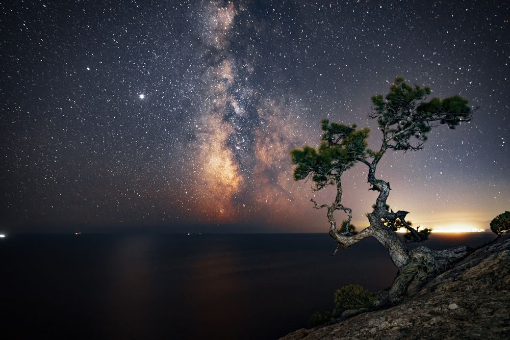 Photograph by Марина Мурашова