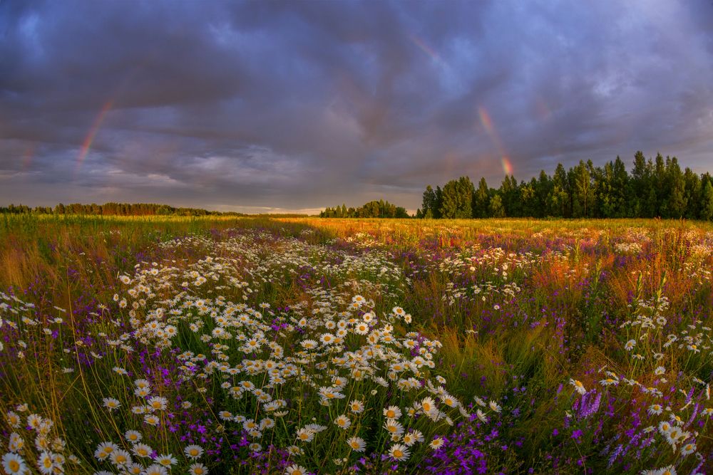 Photograph by Марина Мурашова