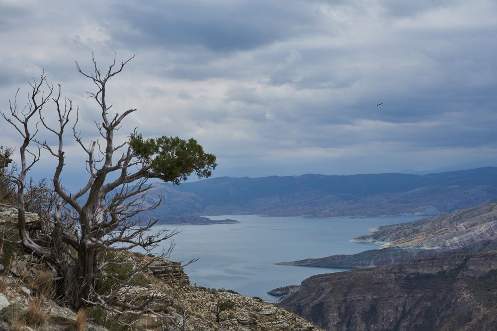 Чиркейское водохранилище
