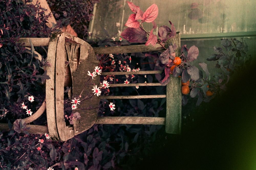 Photograph by Елена Черных