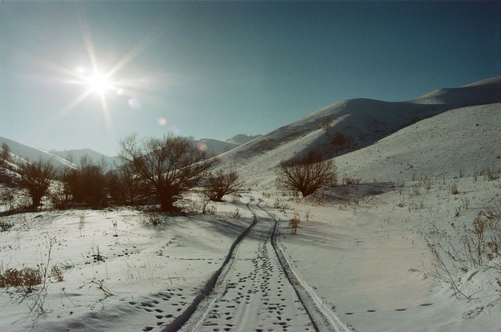 Photograph by Елена Черных