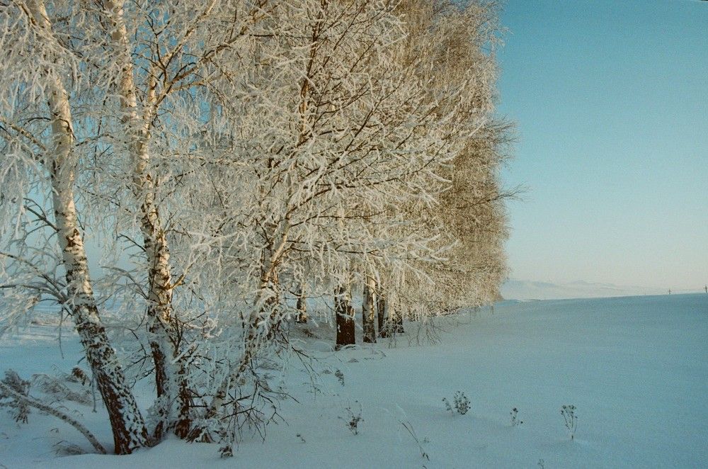 Photograph by Елена Черных