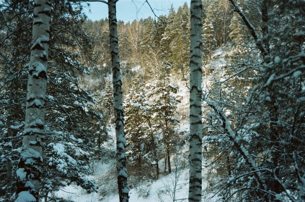 Photograph by Елена Черных