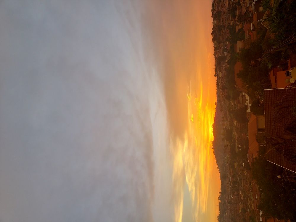 Photo #5697645