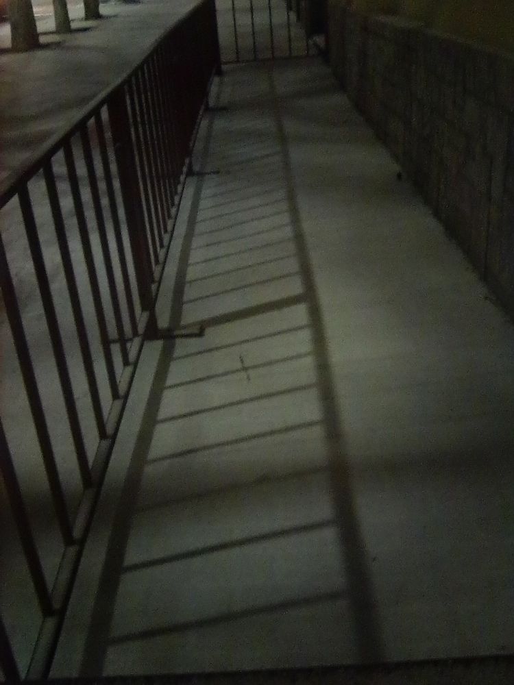 Photograph by Марта Васильева