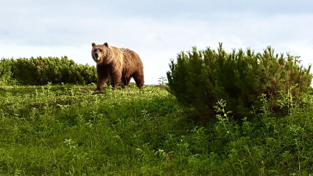 Photograph by Алексей Мяленко