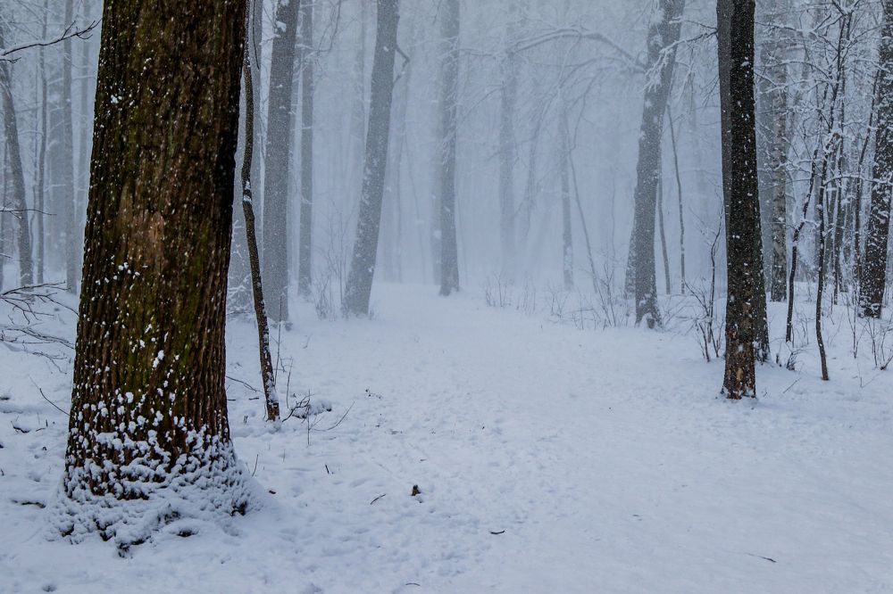 Photograph by Екатерина Якель