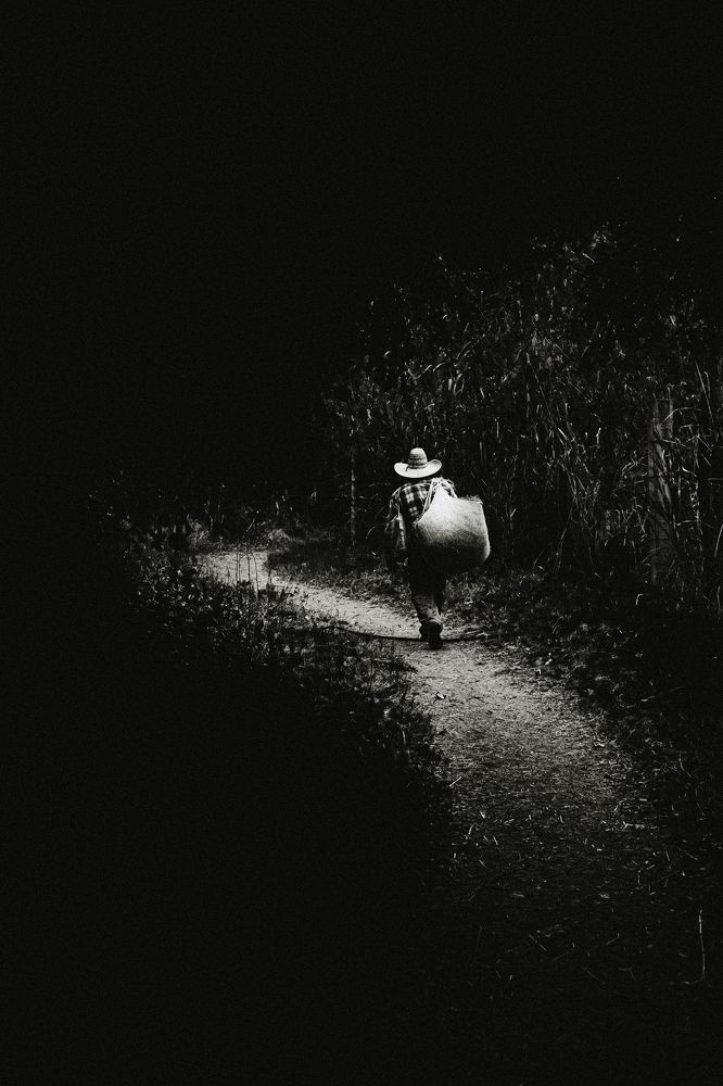 Photograph by Jose Manuel