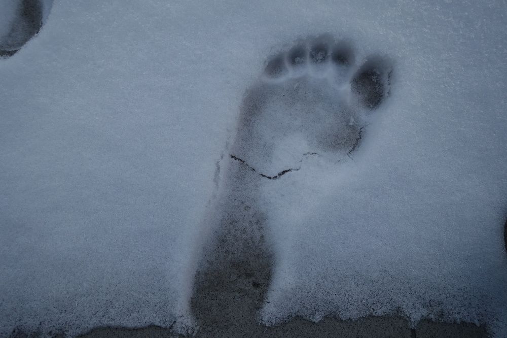 Photograph by Jozsef Cselenyi