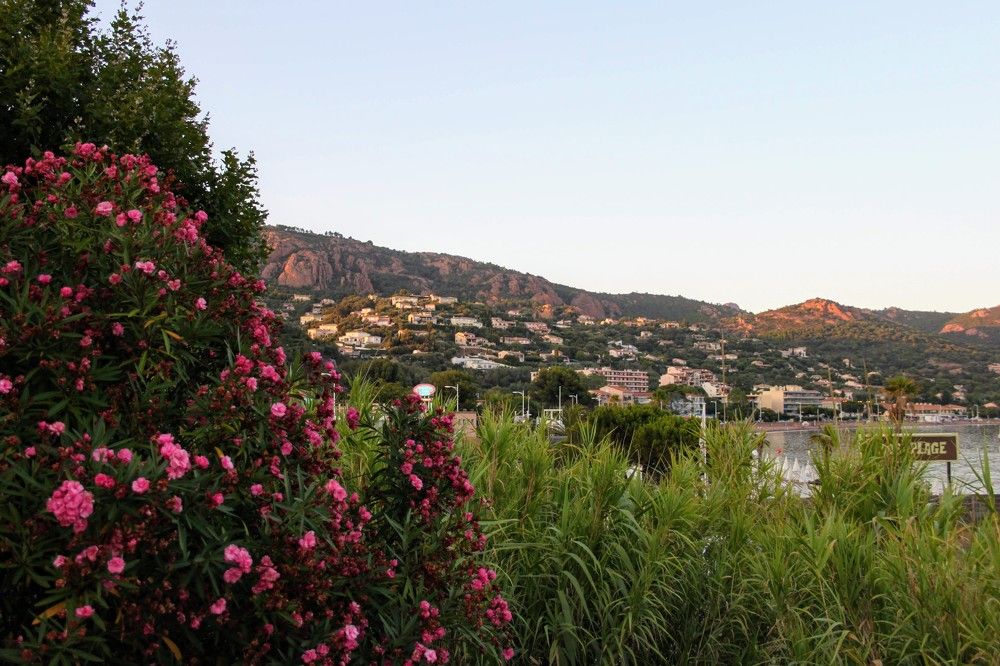 Photograph by Валерия Чернюк