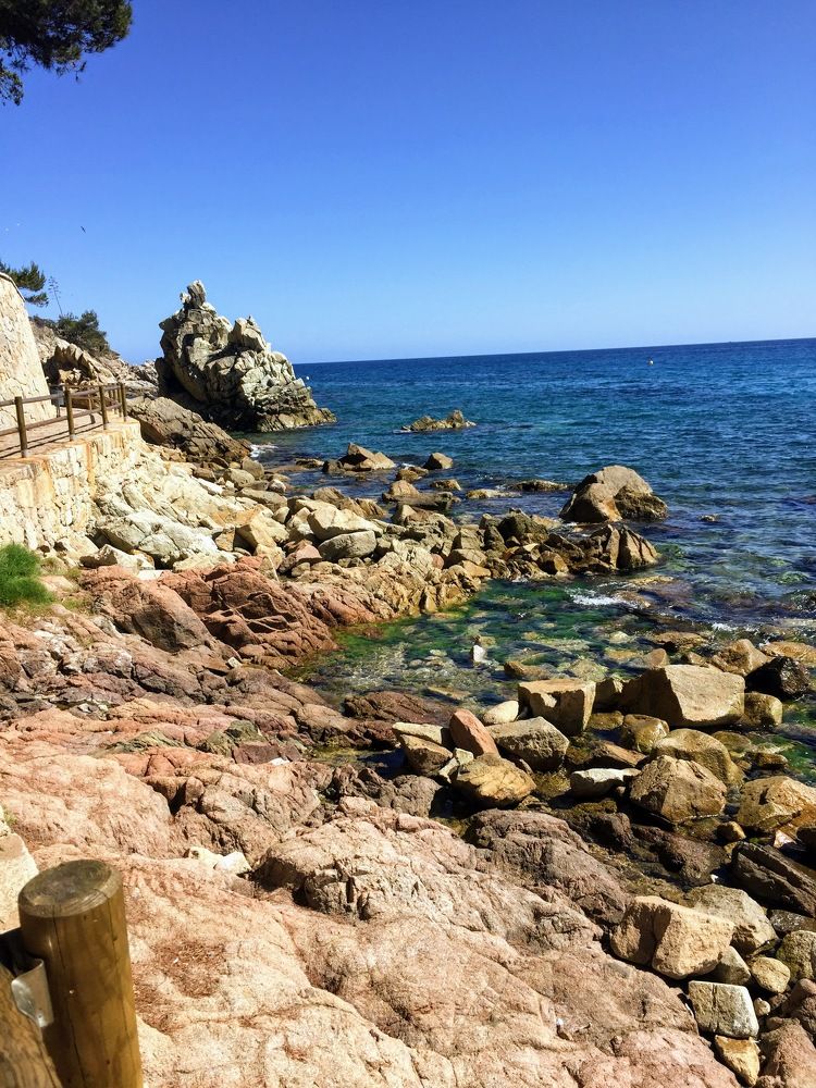 Photograph by Валерия Чернюк