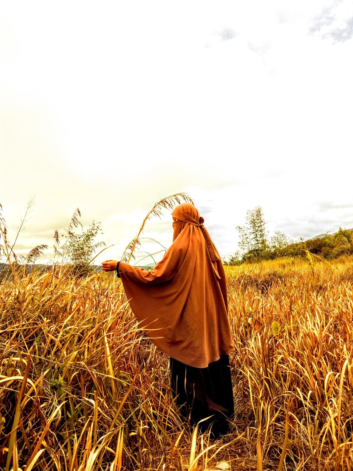 Photo #5697802