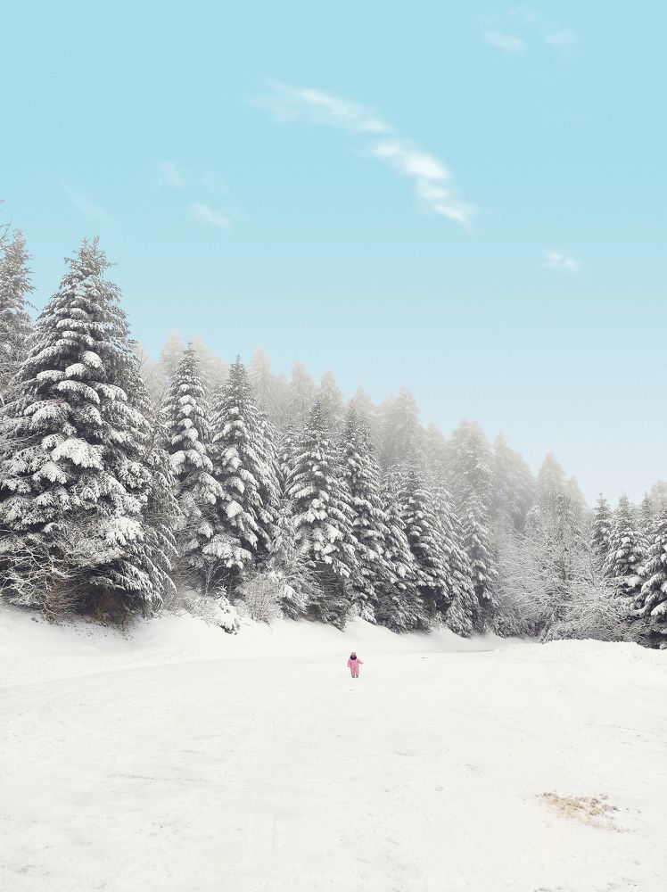 Photograph by Валерия Чернюк