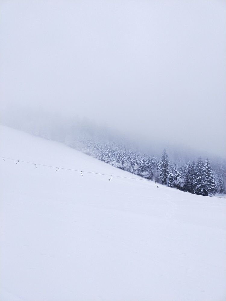 Photograph by Валерия Чернюк