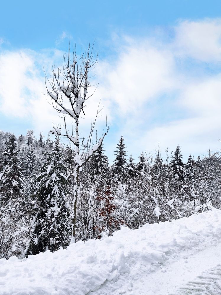 Photograph by Валерия Чернюк