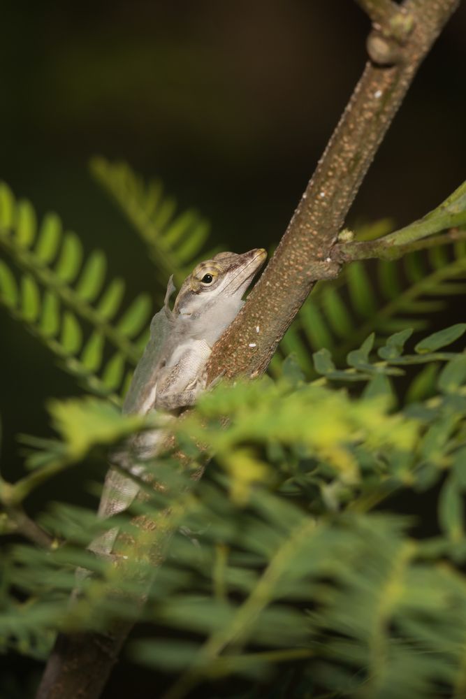 Time for some new clothes