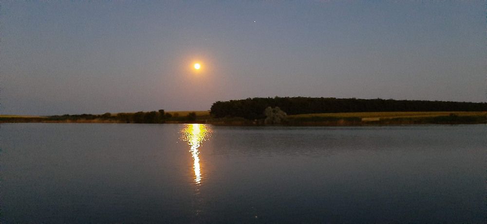 Mistic lake under the moon