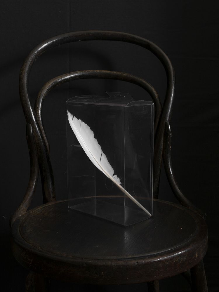 Белое перо.