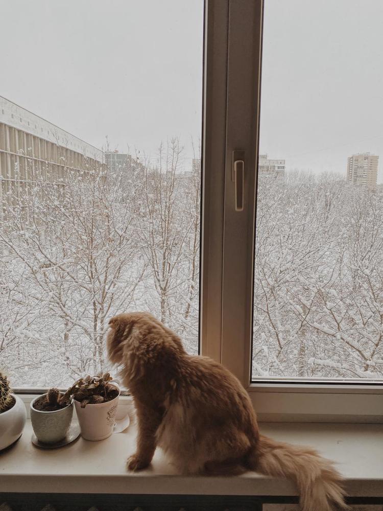 Photograph by Софья Хавва