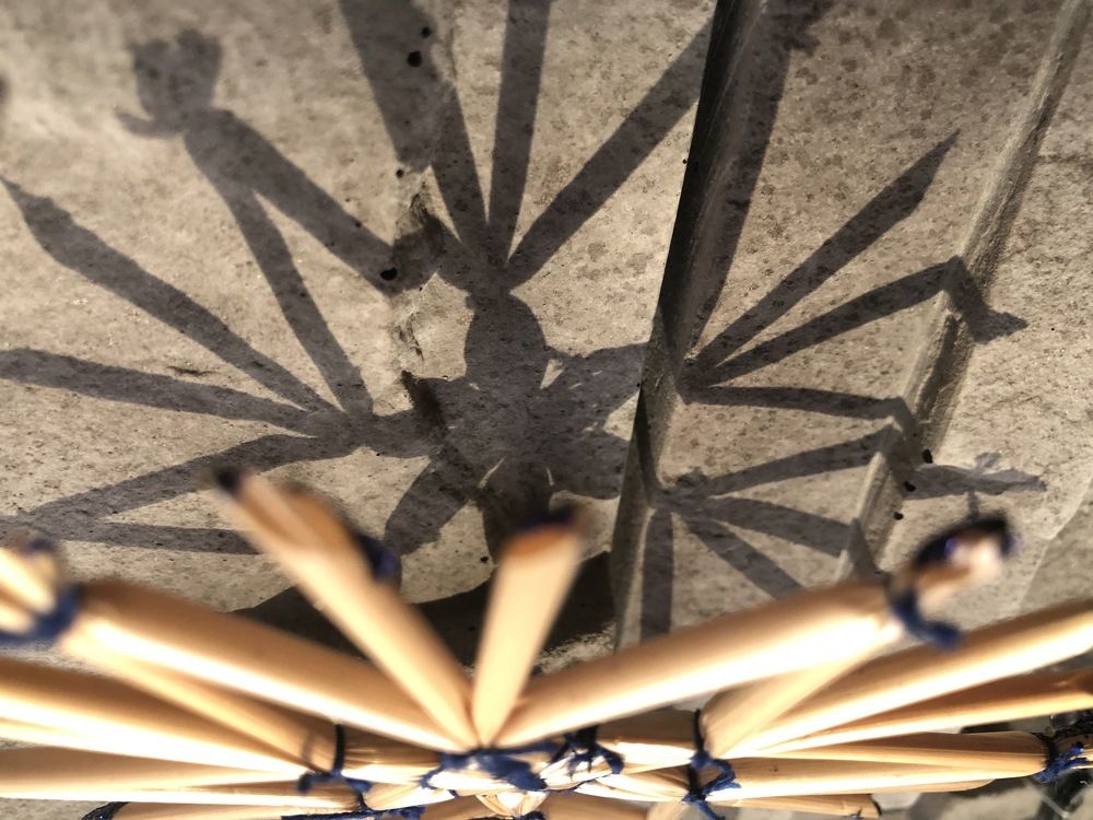 Photograph by Jozsef Cselenyi