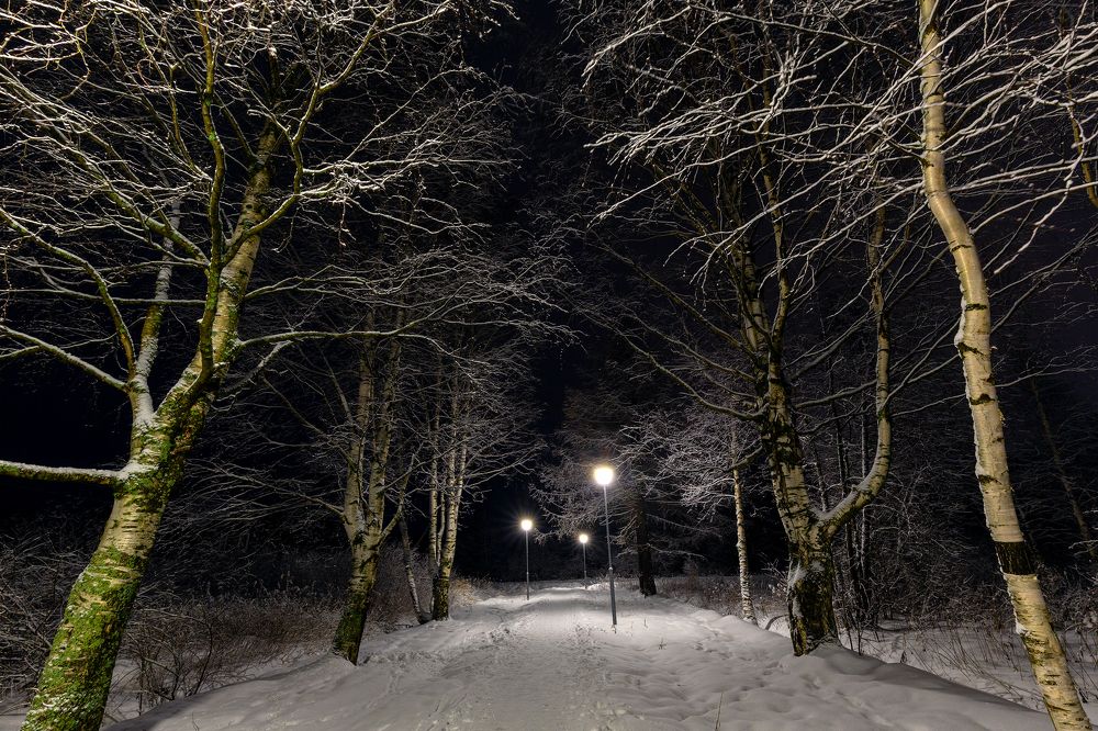 Ночной парк.