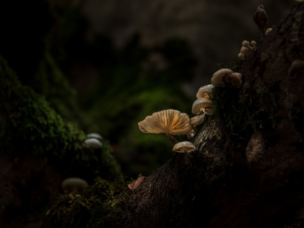 Photograph by Helen Vasilieva