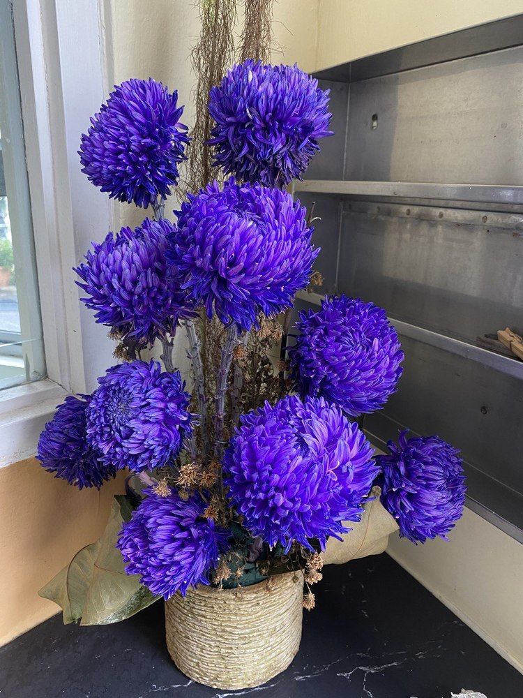 Photograph by Marianie Joanes