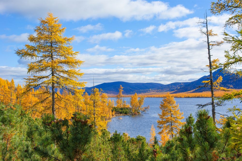 Золотая осень