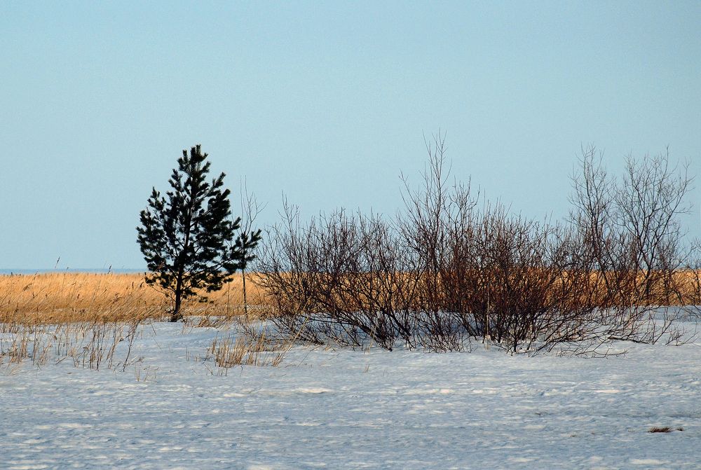 На краю земли.