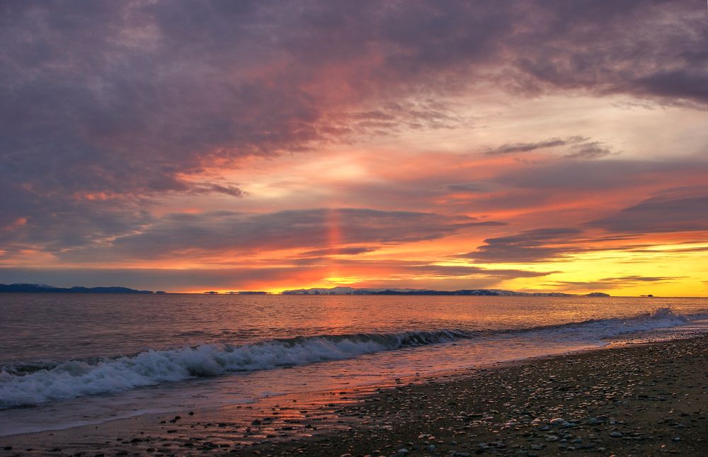 Предвестник