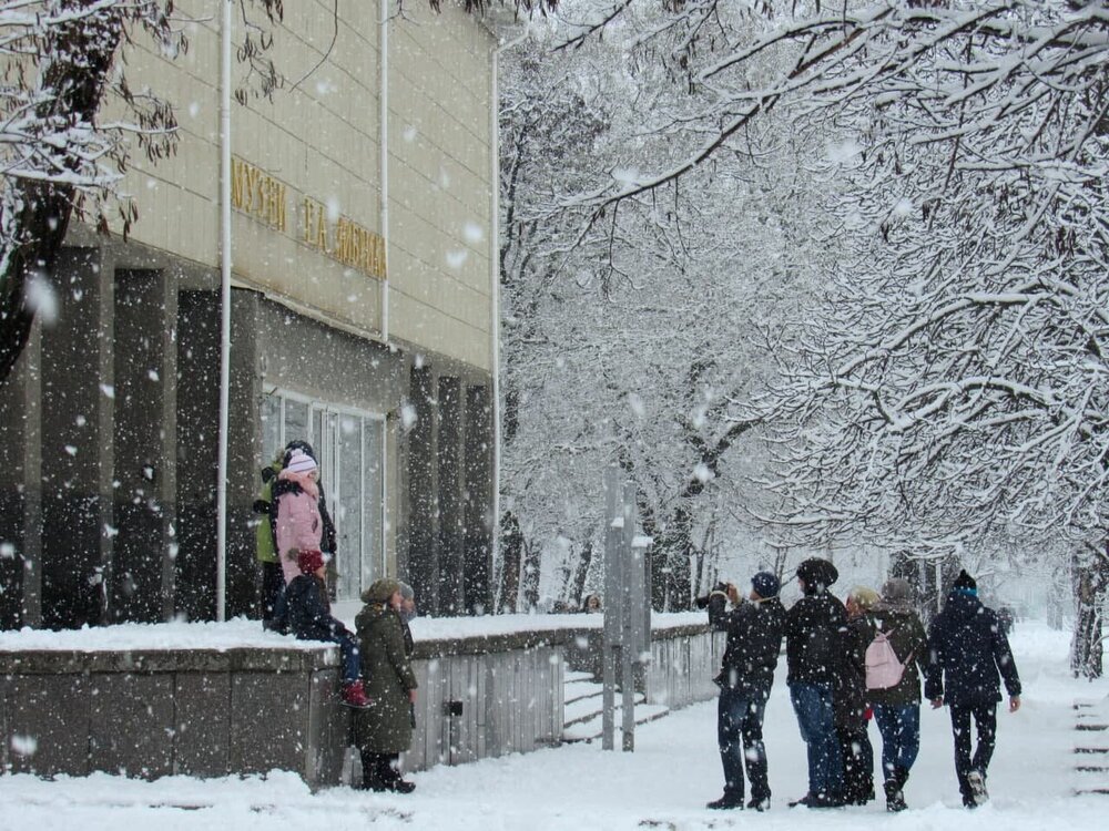 Photograph by Алла Боброва