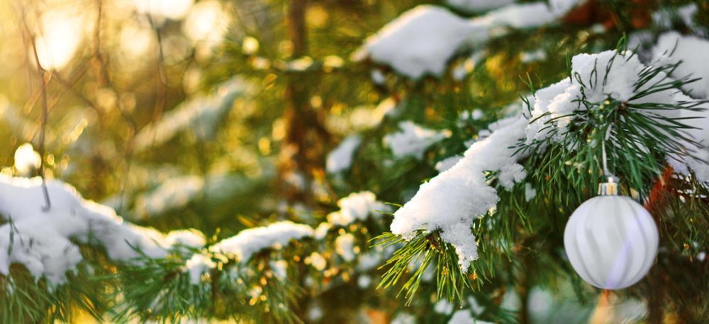 Photograph by Andrey