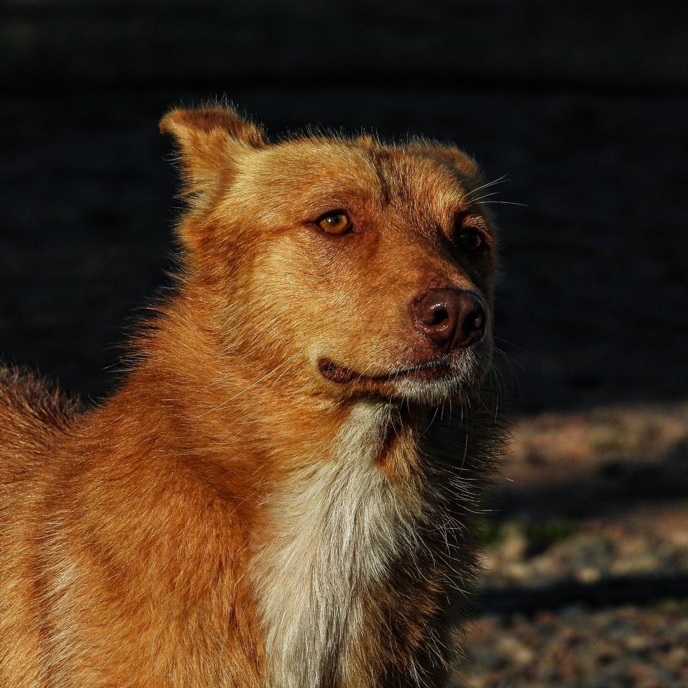 Photograph by Наталья Муравьёва