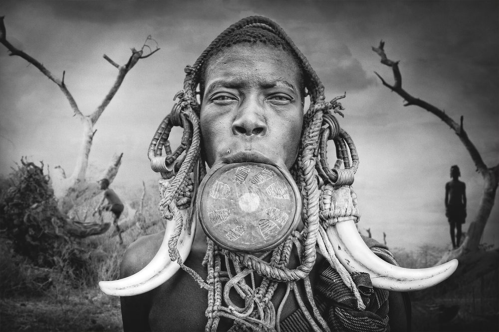 Фотография автора Svetlin Yosifov