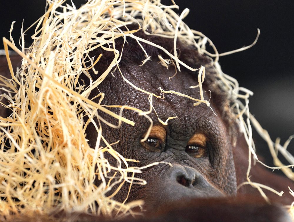 Photograph by Кирина Елизавета