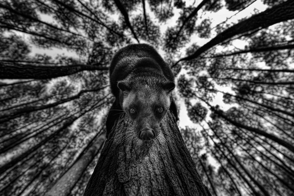 Photograph by BAMBANG WIRAWAN